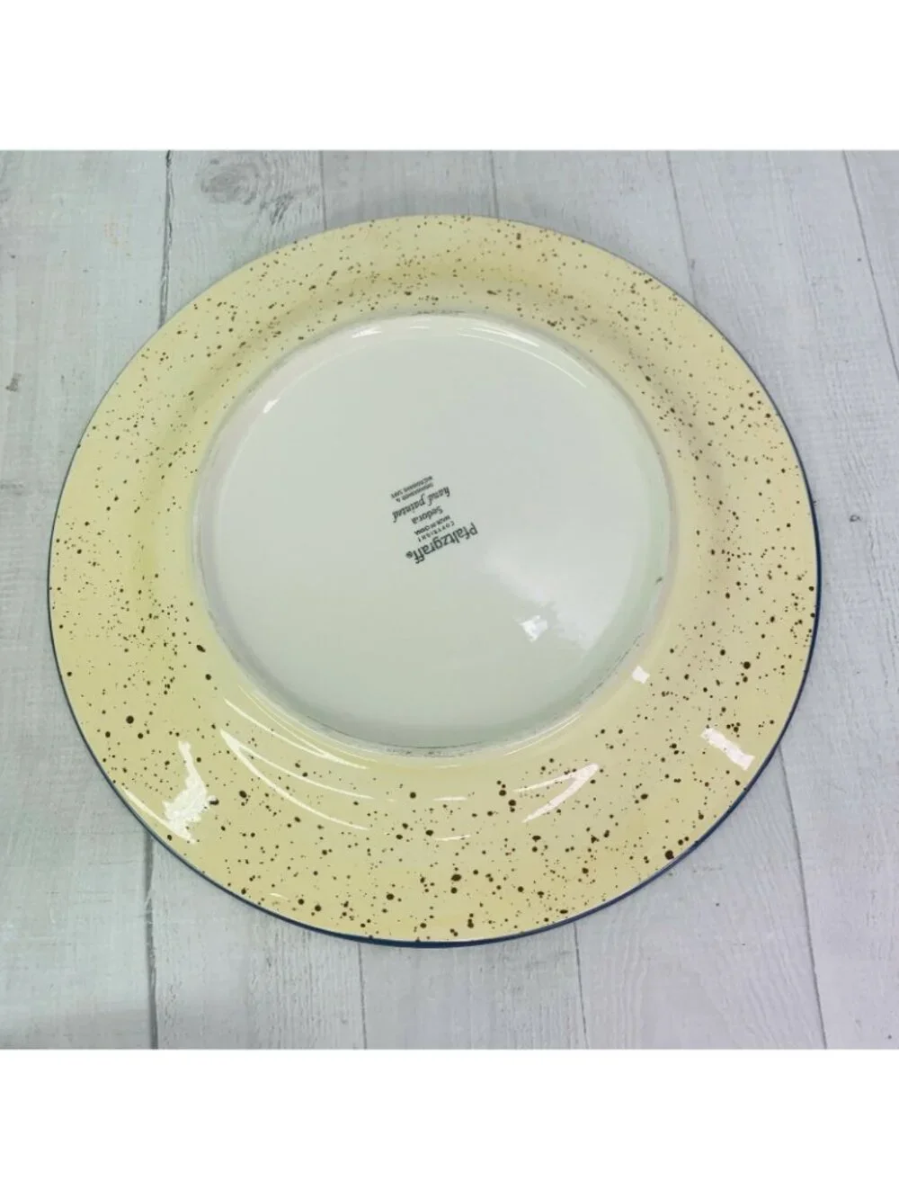Pfaltzgraff SEDONA Stoneware Hand Paint Stripe Speckle Round Dinner Plates Set 4